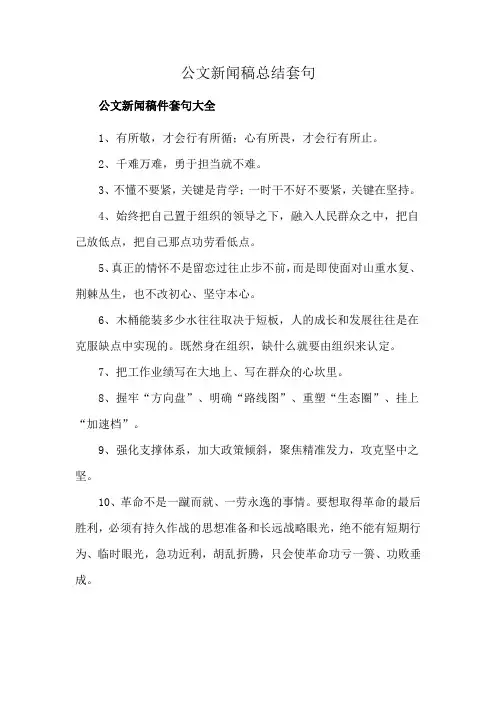 公文新闻稿总结套句