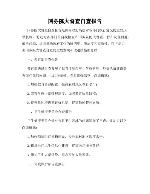 国务院大督查自查报告