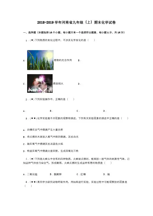 2018-2019学年河南省九年级(上)期末化学试卷