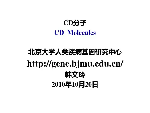 北大医学研究生课程-分子免疫学-CD分子和粘附分子-韩文玲教授