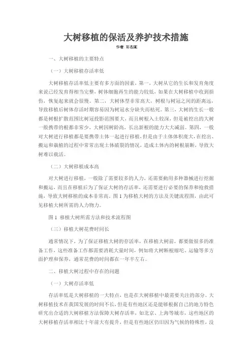 大树移植的保活及养护技术措施