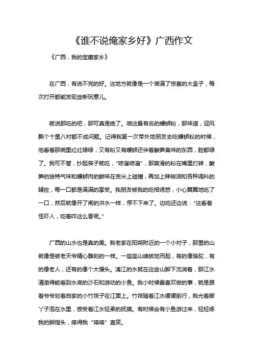 《谁不说俺家乡好》广西作文