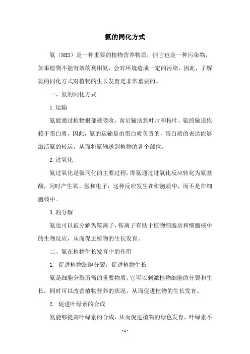 氨的同化方式