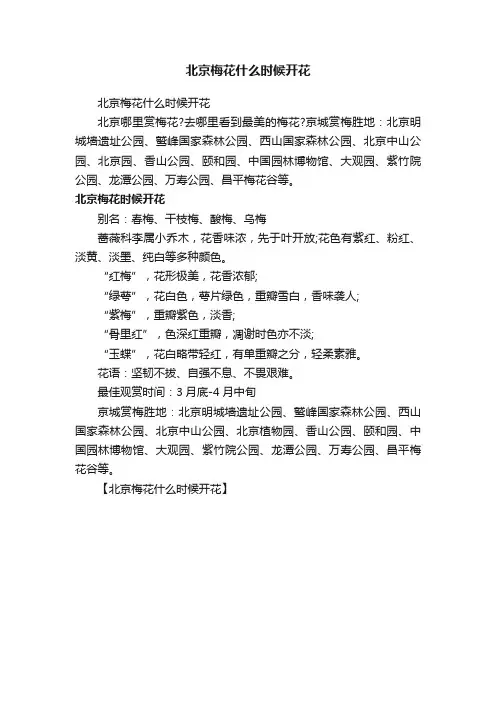 北京梅花什么时候开花