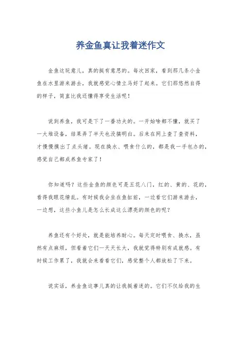养金鱼真让我着迷作文