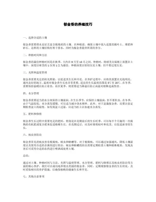 郁金香的养殖技巧