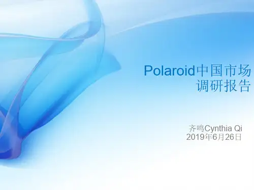 宝丽来相机市场调研共22页