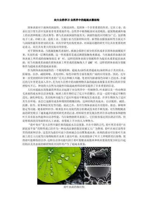 向大自然学习-自然界中的超疏水微结构