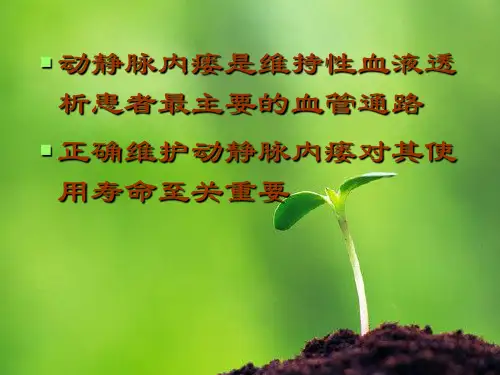 动静脉内瘘演示文稿ppt课件