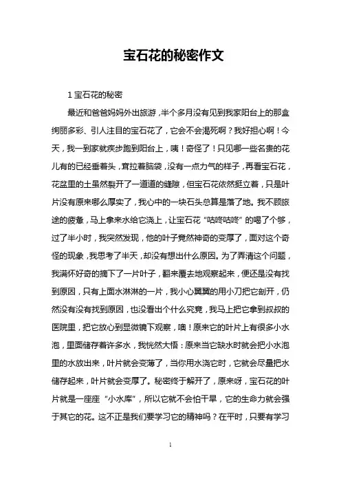 宝石花的秘密作文
