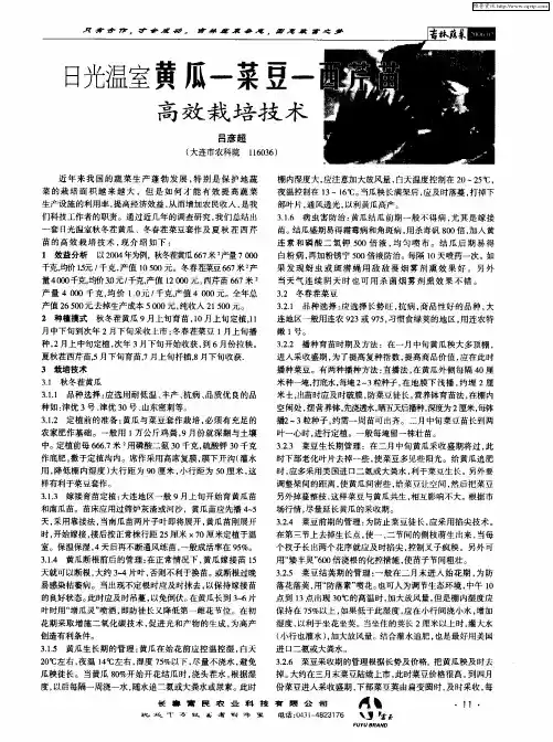 日光温室黄瓜-菜豆-西芹苗高效栽培技术