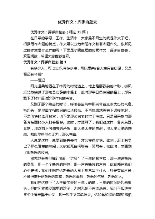优秀作文：挥手自兹去