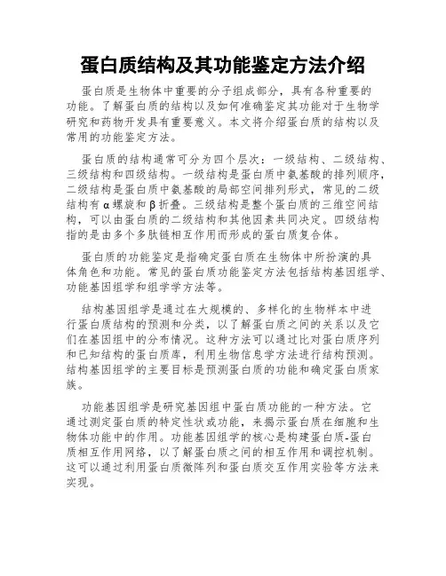 蛋白质结构及其功能鉴定方法介绍