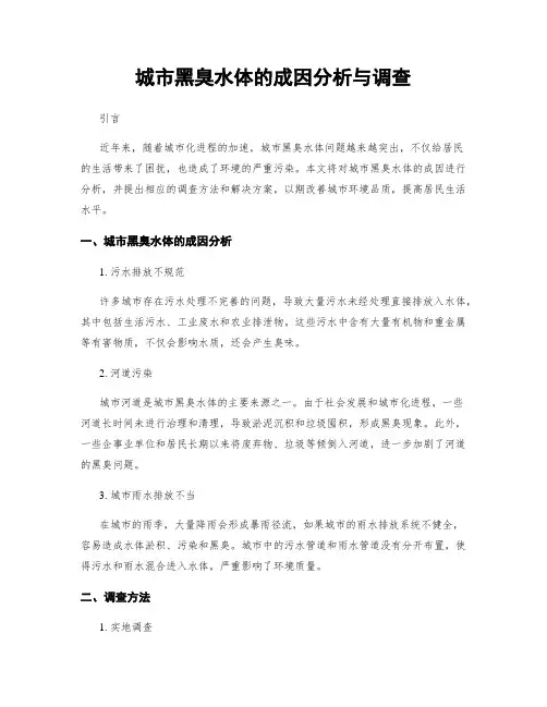 城市黑臭水体的成因分析与调查