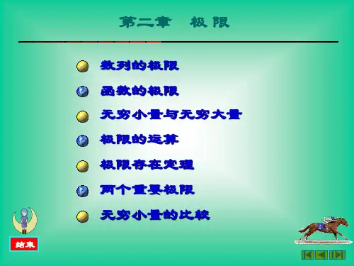 高数极限概括.