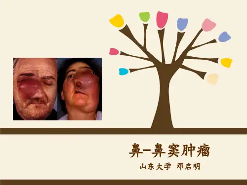 鼻部肿瘤