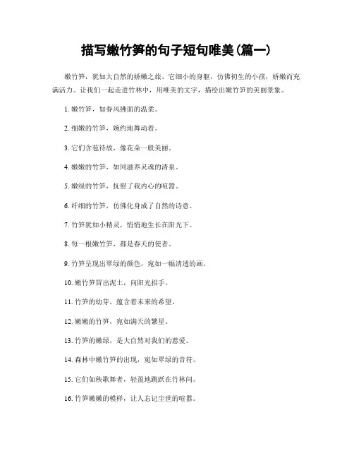 描写嫩竹笋的句子短句唯美(精选2篇)