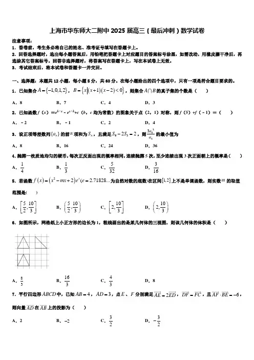 上海市华东师大二附中2025届高三(最后冲刺)数学试卷含解析