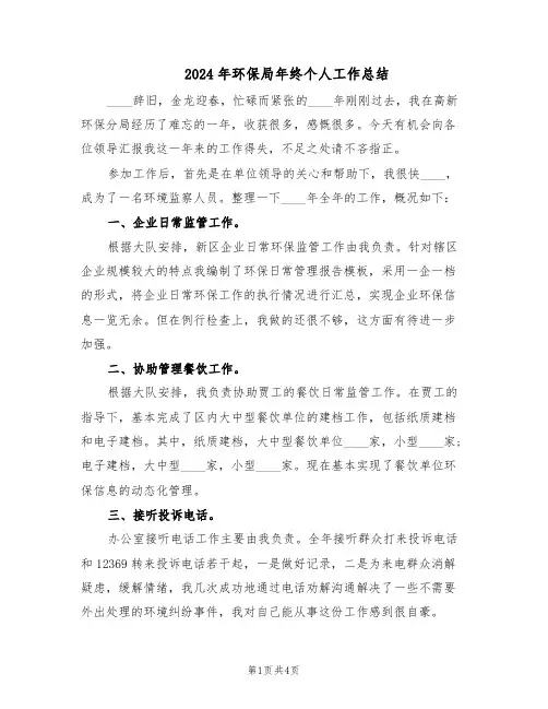 2024年环保局年终个人工作总结(二篇)