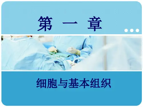《人体解剖学与组织胚胎学》教学课件 第一章