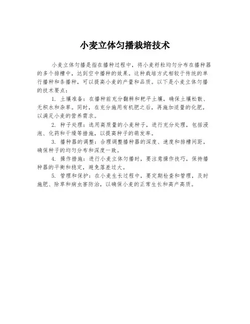 小麦立体匀播栽培技术