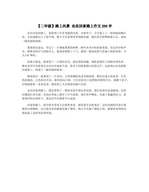 【二年级】路上风景 走在回家路上作文200字
