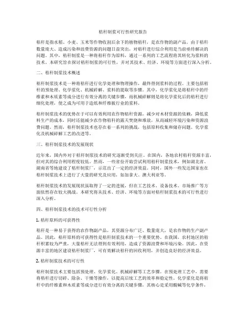 秸秆制浆可行性研究报告