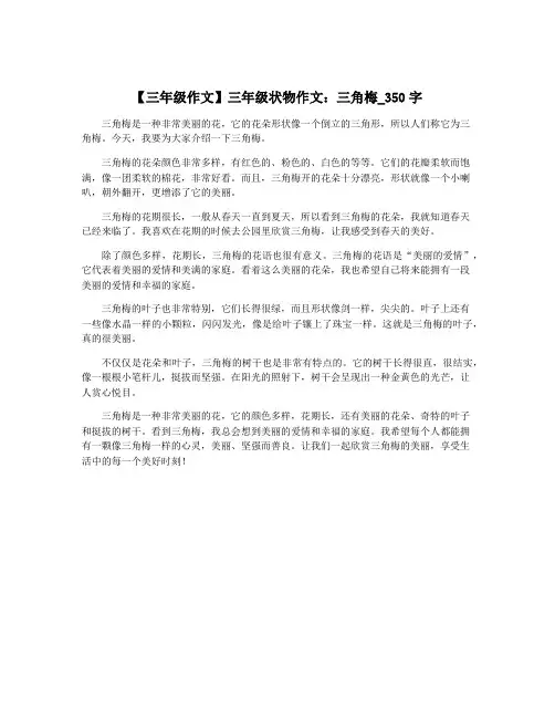 【三年级作文】三年级状物作文：三角梅_350字