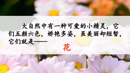 花的学校-ppt课件