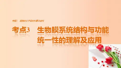 2017高考生物考前3个月专题复习专题1细胞的分子组成和基本结构考点3生物膜系统结构与功能统一性的理解及应