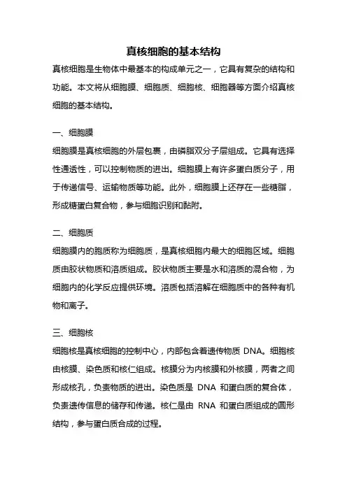 真核细胞的基本结构