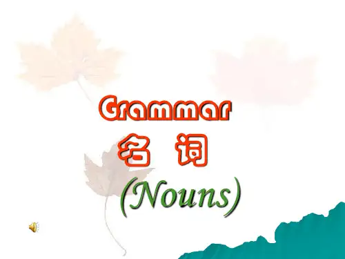 高考英语语法一轮复习：名词课件(共15张PPT)