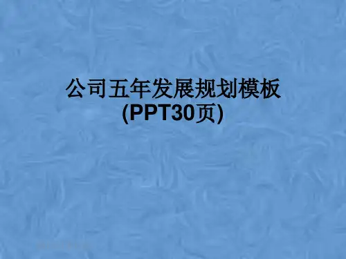 公司五年发展规划模板(PPT30页)