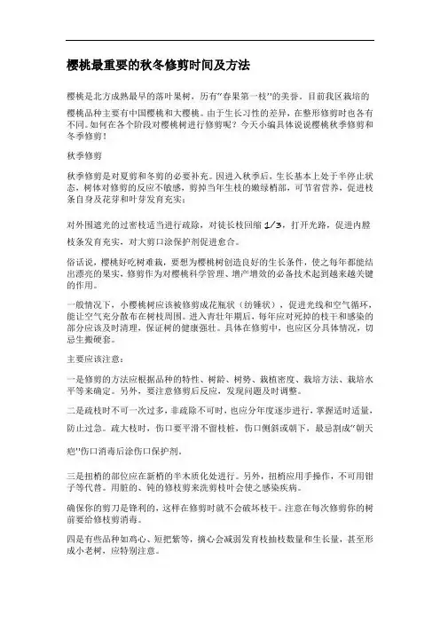 樱桃最重要的秋冬修剪时间及方法
