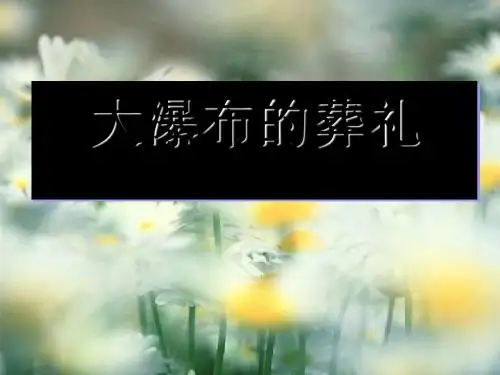 《大瀑布的葬礼》PPT课件下载4 (共34张PPT)