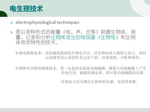视觉电生理veperg