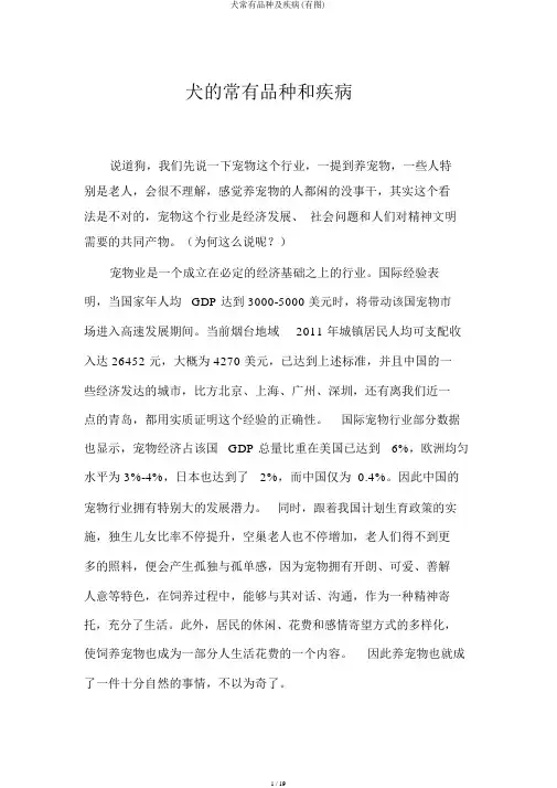 犬常见品种及疾病(有图)