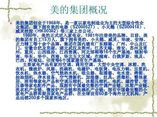 美的ppt课件20页