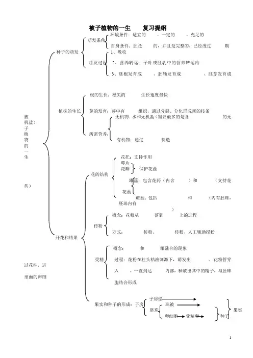 被子植物的一生-复习提纲