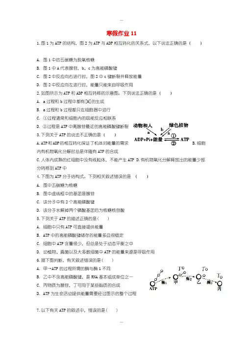 2020届高一生物寒假作业11实验班含答案