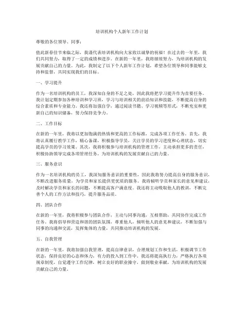 培训机构个人新年工作计划