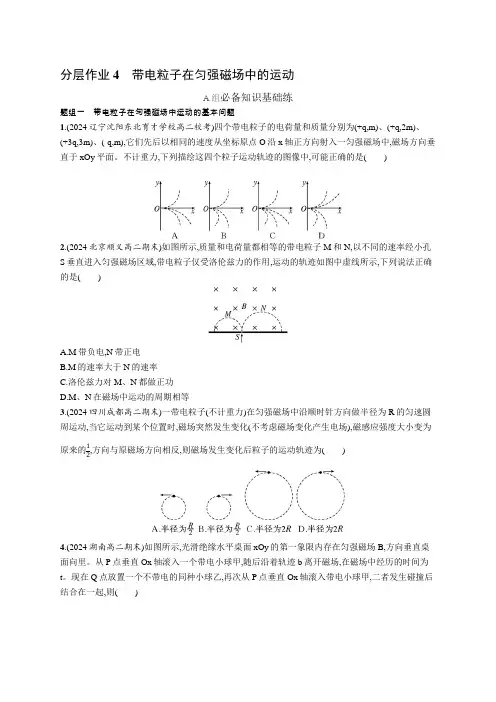 2024-2025学年高二物理选择性必修第二册(配人教版)分层作业4带电粒子在匀强磁场中的运动