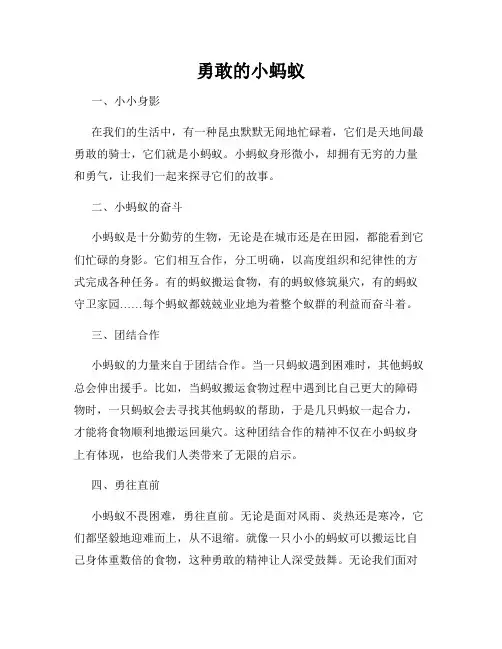 勇敢的小蚂蚁