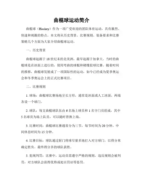 曲棍球运动简介