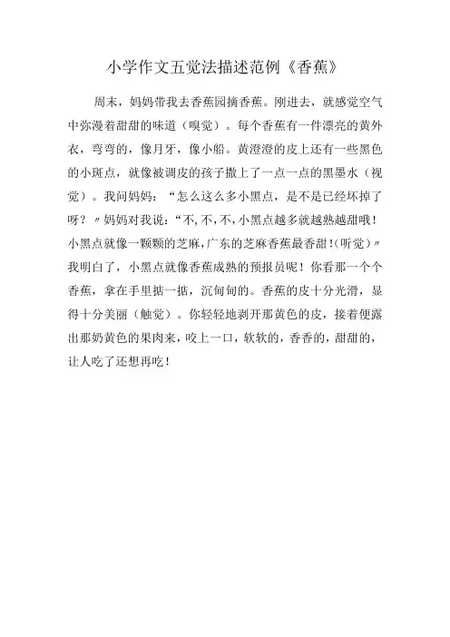 小学作文五觉法描述范例《香蕉》