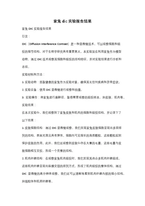 家兔dic实验报告结果