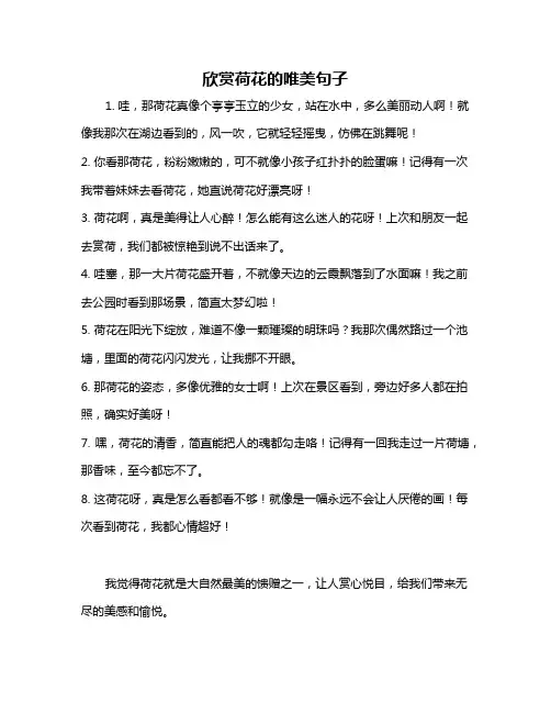 欣赏荷花的唯美句子