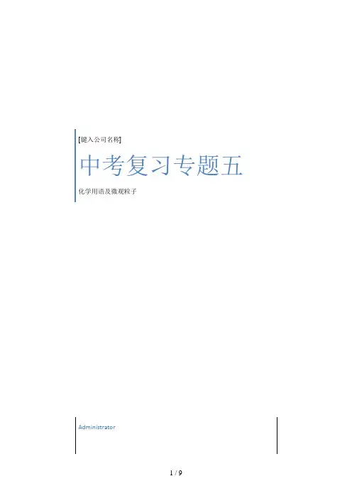 化学中考复习专题化学用语及微观粒子