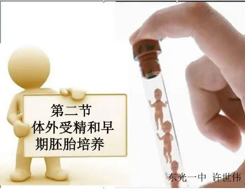 高中生物选修三3.2体外受精和早期胚胎培养