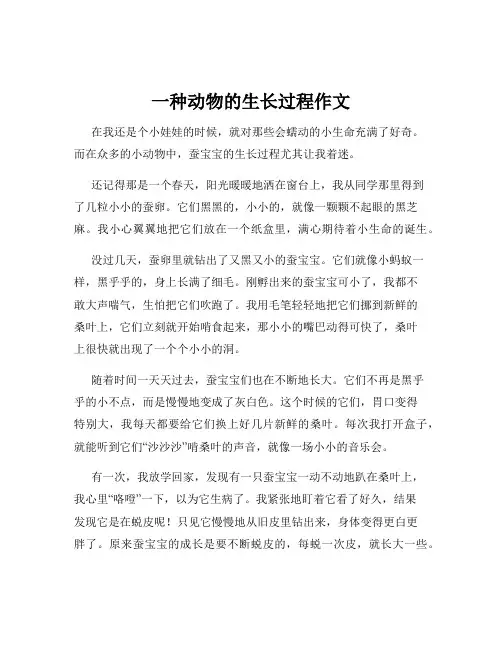 一种动物的生长过程作文
